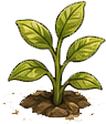 Jong plantje