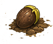 Zaadje